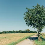 Hundefreundliche Brombachsee * שפאלט