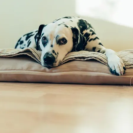 דירה Hundefreundliche Brombachsee *