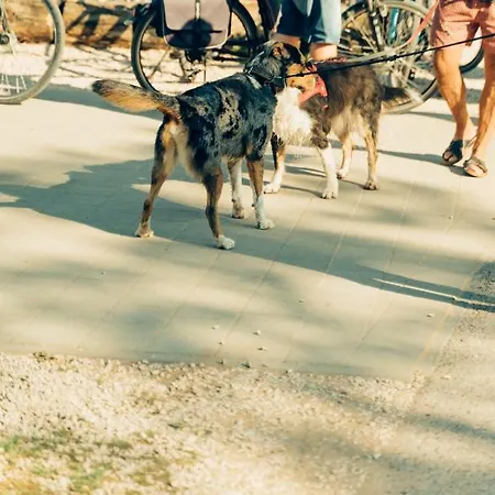 Hundefreundliche Brombachsee Lejlighed *