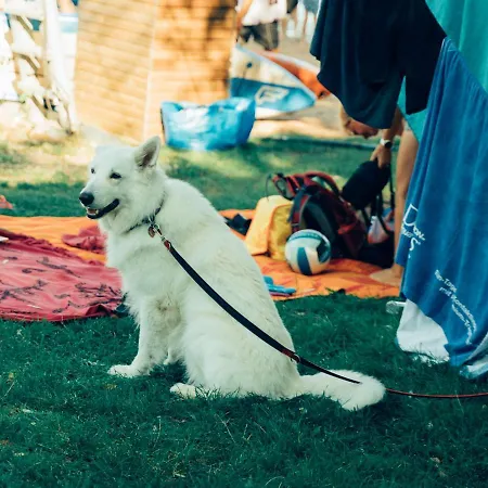 דירה Hundefreundliche Brombachsee *