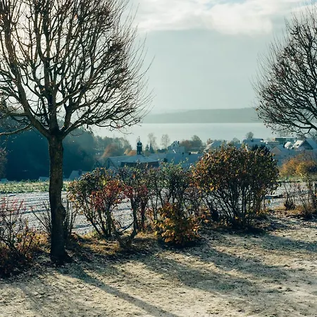 Hundefreundliche Brombachsee