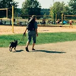 Hundefreundliche Brombachsee * Spalt