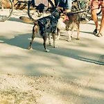 Hundefreundliche Brombachsee Apartment *