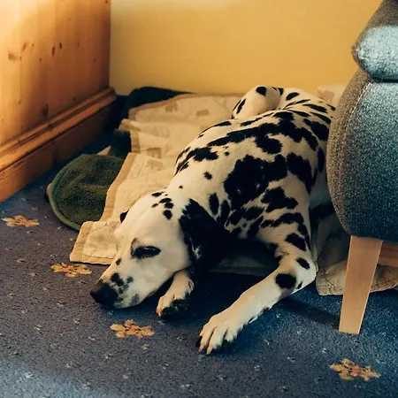 Hundefreundliche Brombachsee