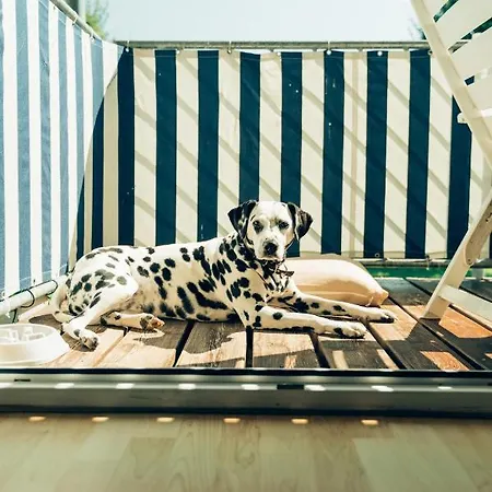 Hundefreundliche Brombachsee * سبالت