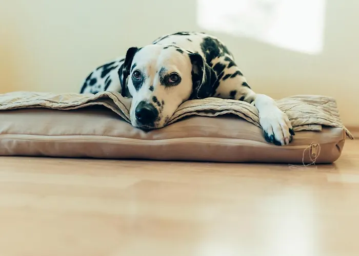 Apartmán Hundefreundliche Brombachsee *